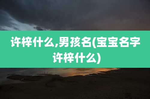 许梓什么,男孩名(宝宝名字 许梓什么)