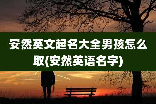 安然英文起名大全男孩怎么取(安然英语名字)