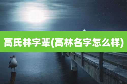 高氏林字辈(高林名字怎么样)