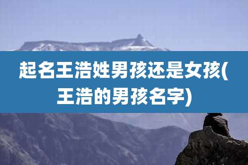 起名王浩姓男孩还是女孩(王浩的男孩名字)
