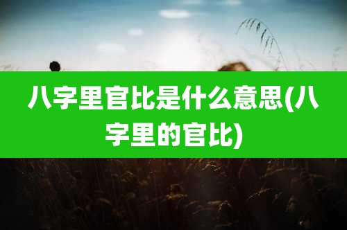 八字里官比是什么意思(八字里的官比)