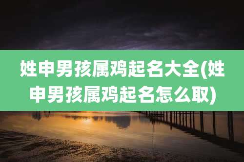 姓申男孩属鸡起名大全(姓申男孩属鸡起名怎么取)