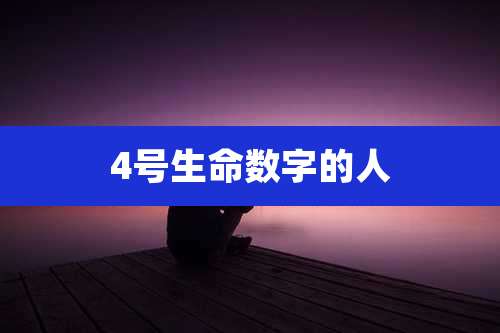 4号生命数字的人