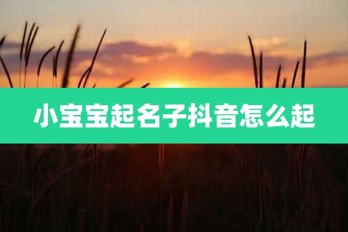 小宝宝起名子抖音怎么起