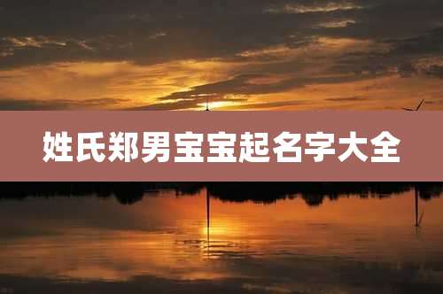 姓氏郑男宝宝起名字大全