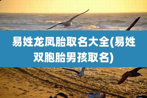 易姓龙凤胎取名大全(易姓双胞胎男孩取名)