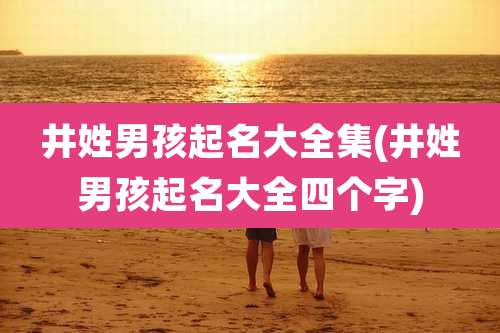 井姓男孩起名大全集(井姓男孩起名大全四个字)