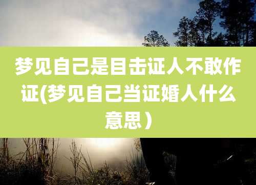 梦见自己是目击证人不敢作证(梦见自己当证婚人什么意思)