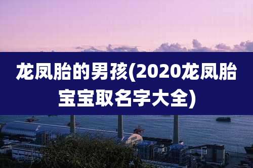 龙凤胎的男孩(2020龙凤胎宝宝取名字大全)