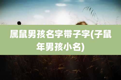 属鼠男孩名字带子字(子鼠年男孩小名)