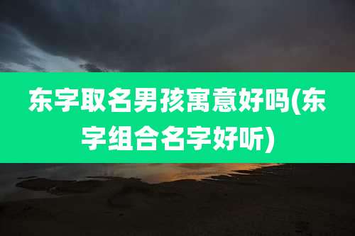 东字取名男孩寓意好吗(东字组合名字好听)