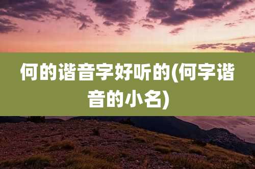 何的谐音字好听的(何字谐音的小名)