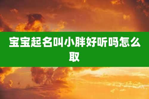 宝宝起名叫小胖好听吗怎么取