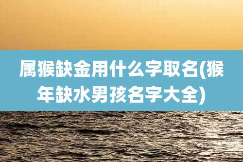属猴缺金用什么字取名(猴年缺水男孩名字大全)