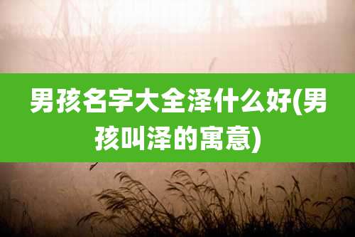男孩名字大全泽什么好(男孩叫泽的寓意)