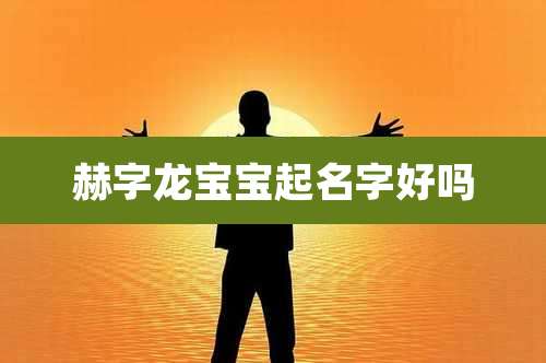 赫字龙宝宝起名字好吗