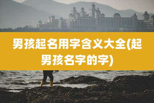男孩起名用字含义大全(起男孩名字的字)