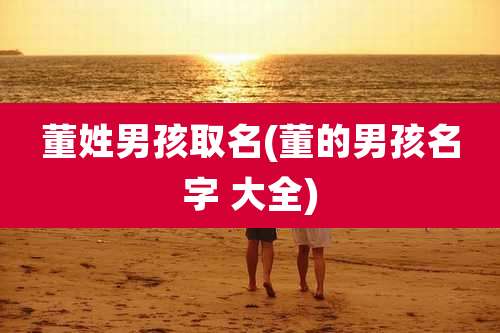 董姓男孩取名(董的男孩名字 大全)