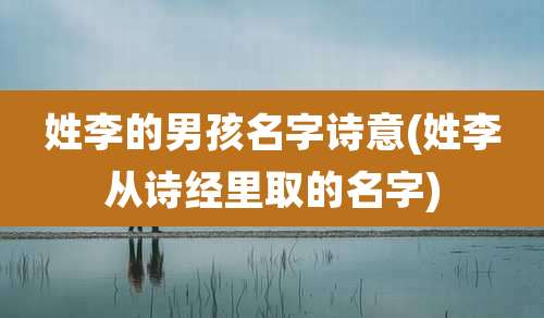 姓李的男孩名字诗意(姓李从诗经里取的名字)