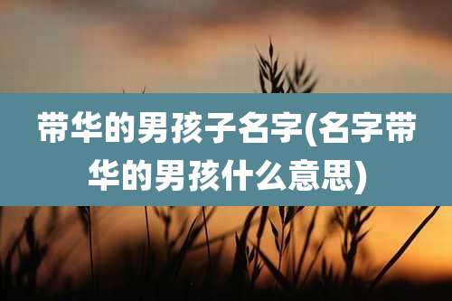 带华的男孩子名字(名字带华的男孩什么意思)