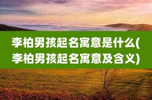 李柏男孩起名寓意是什么(李柏男孩起名寓意及含义)