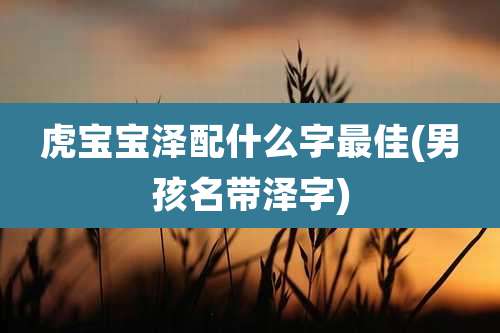 虎宝宝泽配什么字最佳(男孩名带泽字)