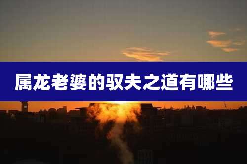 属龙老婆的驭夫之道有哪些