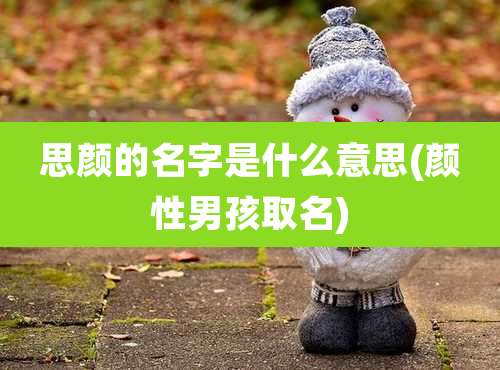 思颜的名字是什么意思(颜性男孩取名)