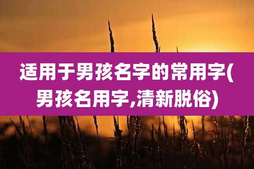 适用于男孩名字的常用字(男孩名用字,清新脱俗)
