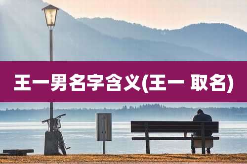 王一男名字含义(王一 取名)