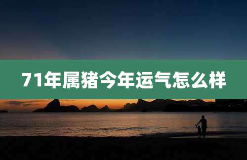 71年属猪今年运气怎么样