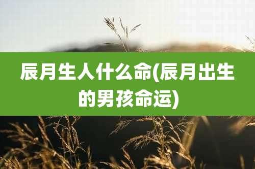 辰月生人什么命(辰月出生的男孩命运)
