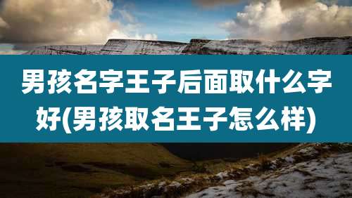 男孩名字王子后面取什么字好(男孩取名王子怎么样)