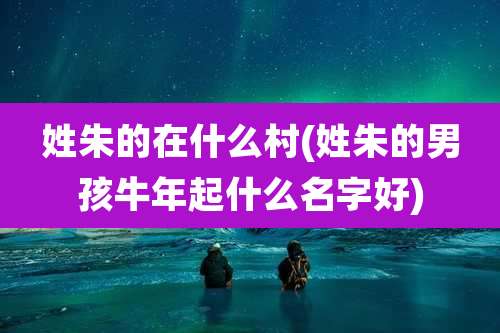 姓朱的在什么村(姓朱的男孩牛年起什么名字好)