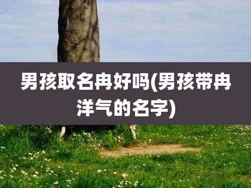 男孩取名冉好吗(男孩带冉洋气的名字)