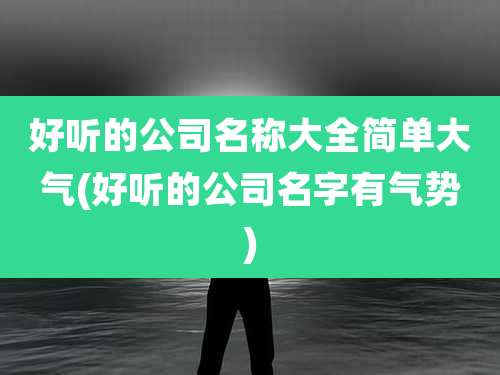 好听的公司名称大全简单大气(好听的公司名字有气势)