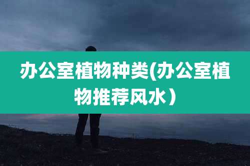 办公室植物种类(办公室植物推荐风水)