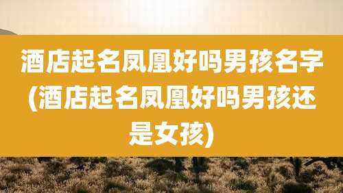 酒店起名凤凰好吗男孩名字(酒店起名凤凰好吗男孩还是女孩)