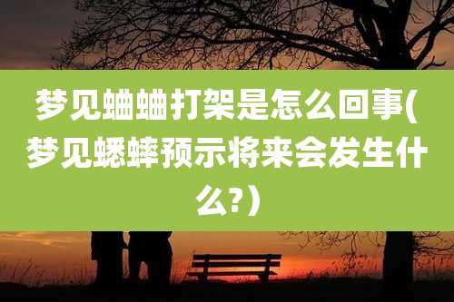 梦见蛐蛐打架是怎么回事(梦见蟋蟀预示将来会发生什么?)