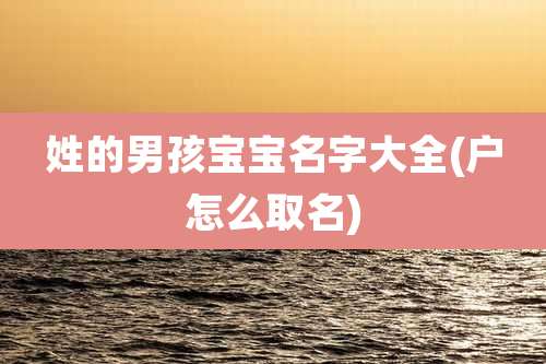 姓的男孩宝宝名字大全(户怎么取名)