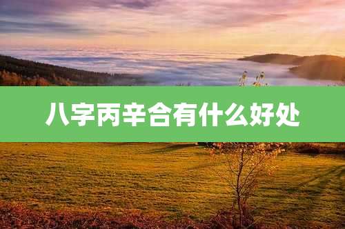 八字丙辛合有什么好处
