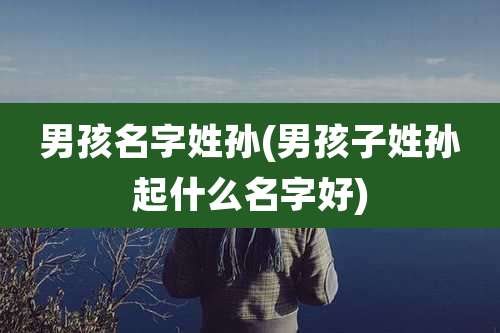 男孩名字姓孙(男孩子姓孙起什么名字好)