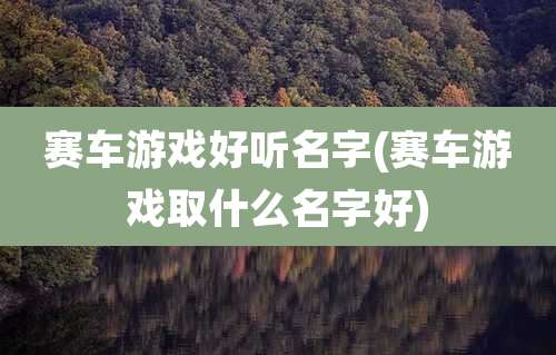 赛车游戏好听名字(赛车游戏取什么名字好)