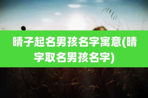 晴子起名男孩名字寓意(晴字取名男孩名字)