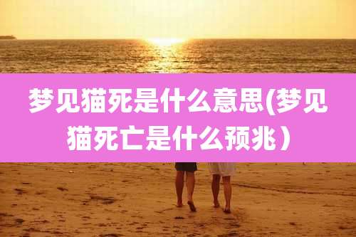 梦见猫死是什么意思(梦见猫死亡是什么预兆）