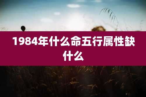 1984年什么命五行属性缺什么