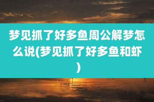 梦见抓了好多鱼周公解梦怎么说(梦见抓了好多鱼和虾）