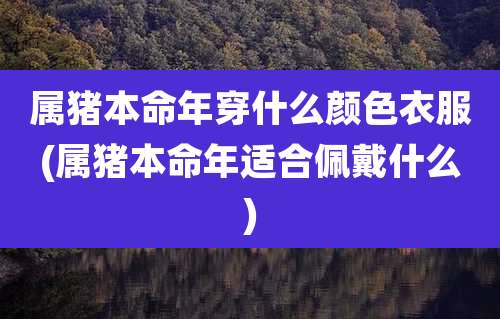 属猪本命年穿什么颜色衣服(属猪本命年适合佩戴什么)