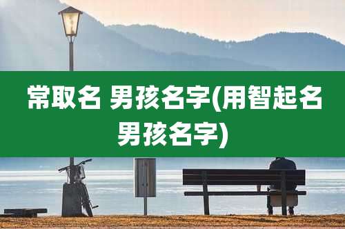 常取名 男孩名字(用智起名男孩名字)