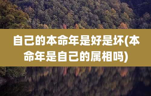 自己的本命年是好是坏(本命年是自己的属相吗)